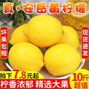 四川安岳黄柠檬(黄柠檬，)10斤应当季整箱，新鲜皮薄奶茶店专用现摘柠檬5