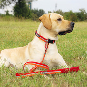 狗狗项圈大型犬反光颈圈狗圈牵引绳宠物用品可调节头套脖圈中型犬