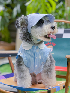 可爱猫咪狗狗衣服夏季无袖宠物衬衫比熊博美雪纳瑞小型犬衣服薄款