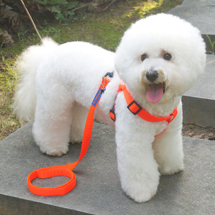 中小型犬狗链子抗拉小狗狗牵引绳，贵宾犬泰迪遛狗绳子型犬胸背带