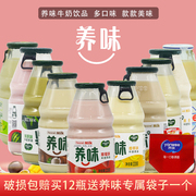养味果味牛奶6瓶草莓香蕉学生早餐奶椰奶脱脂酸奶乳酸菌饮料
