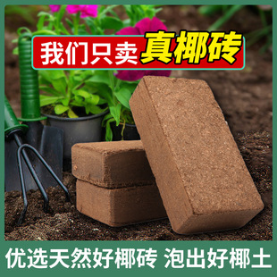 高泡发椰砖营养土阳台种菜养花肥料，通用型脱盐椰土椰糠花土专用型