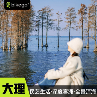 bikego旅行大理360度环洱海，一日游纯玩6人小团，云南人文喜洲双廊