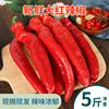 新鲜大红辣椒5斤装辣椒农家，自种红辣椒菜椒尖椒蔬菜可做辣椒酱