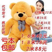 毛绒玩具泰迪熊猫布娃娃抱枕，公仔女生1.8抱抱熊2米1.6大熊超大号c