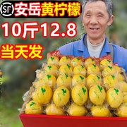 四川安岳黄柠檬新鲜水果当季皮薄一级奶茶店专用无籽商酸宁柃林拧
