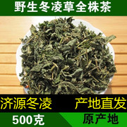 济源野生冬凌草中药材全草冬凌草，茶王屋山产地，冬凌言清茶咽喉草