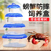 养螃蟹专用缸小型防摔养殖生态，缸小宠物带盖手提塑料相手蟹饲养盒