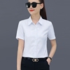 白色衬衫女短袖，2024夏季修身气质纯色衬衣，翻领ol职业装工作服
