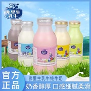 子母奶弗里生牛奶瓶装纯牛奶/草莓/巧克力/水果味243ml*6瓶