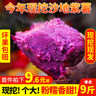 紫薯农家新鲜番薯地瓜农家蜜薯9斤板栗香红沙地薯糖心山芋105