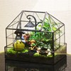 苔藓植物微景观生态m瓶玻璃花房创意迷你办公绿植龙猫盆栽生日礼