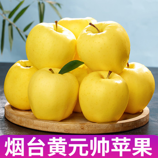 山东烟台黄元帅(黄元帅)苹果新鲜水果正宗黄金帅黄香蕉，苹果粉平果9斤5