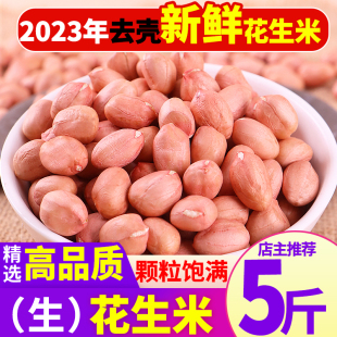 2023年新鲜花生米新货大颗粒，白沙农家生花生米商用去散装壳花生仁