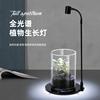 led苔藓植物灯亚克力鱼缸，射灯usb微景观，生态瓶灯造景水草灯