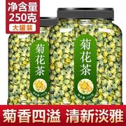 菊花茶桐乡胎菊王头采特级正宗杭白菊去火贡菊花茶250g散装新花