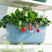 阳台蔬菜懒人种菜盆种菜箱生产塑料花盆长方形种植箱花槽