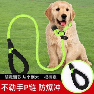 狗狗牵引绳大型犬防暴冲夏季遛狗绳子金毛，拉布拉多狗链子宠物用品