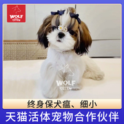 终身保犬瘟细小西施幼犬活体，纯正双血统小型犬，宠物狗西施犬赛级