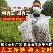 艾叶陈年干艾叶泡脚包散装艾草500g端午大艾叶泡澡足浴包严选定制