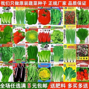 蔬菜种子四季播盆栽阳台庭院香菜生菜菠菜萝卜葱简单易种籽孑大全