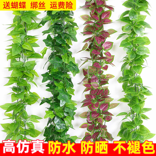 仿真绿萝叶假花装饰藤条藤蔓植物树叶绿叶遮挡空调水管道塑料叶子