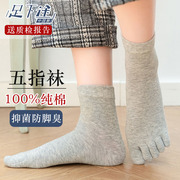 五指袜女士春秋冬季纯棉袜子，中筒吸汗防臭夏季薄款全棉，分趾脚趾袜