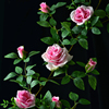 仿真玫瑰花假花藤条绿植，塑料藤蔓植物室内空调，管道遮挡装饰墙壁挂