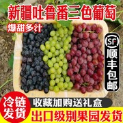 新疆葡萄新鲜当季水果三拼吐鲁番无核白无籽三色葡萄整箱