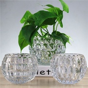 创意绿萝水培植物透明玻璃花瓶家用客厅装饰品水养插花器皿摆件