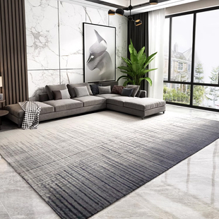 普拉托尼新中式现代简约地毯，客厅茶几沙发卧室书房，满铺大面积极简