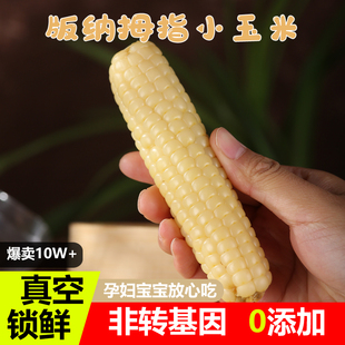 云南西双版纳拇指玉米新鲜粉香糯手指小玉米即食真空包装宝宝辅食