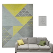 北欧风格地毯ins网红客厅，简约现代家用沙x发茶几毯卧室