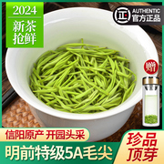 珍品毛尖茶叶2024新茶信阳绿茶，明前5a特级嫩芽，浓香型春茶散装500g