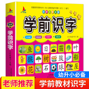 幼小衔接教材学前识字幼儿早教识字学龄前儿童看图认字卡片识字大王宝宝幼儿园幼升小入学准备一年级儿童读物3-6岁学前识字