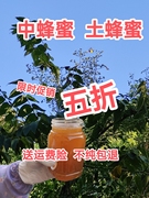 广东冬蜜蜂蜜中蜂蜜土蜂蜜百花蜜，农家蜜纯天然零添加美容保健