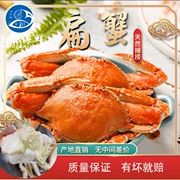 东山岛野生扁蟹肉蟹红蟹海蟹，梭子蟹生腌蟹三目蟹拥梭子蟹蟹肉煲