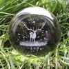 水晶球麋鹿星空透明创意，装饰品玻璃球小摆件，圆球可爱生日礼物女孩