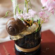 掬涵仿真大蜗牛花盆花瓶鱼缸装饰挂件摆件礼物励志花园阳台