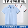 儿童polo衫蓝色条纹领短袖，t恤中小学生校服，夏季男童女童白色薄款