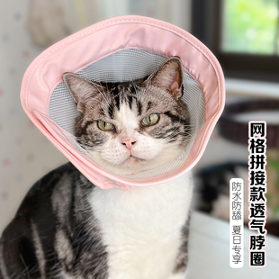 猫咪伊丽莎白圈柔软防舔夏天幼猫脖套透气网格防水可吃饭防咬头套