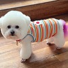 宠物猫狗衣服春夏季薄款彩虹条纹背心比熊泰迪博美小型幼犬花朵吊