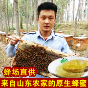 山东农家自产蜂蜜纯正天然百花蜜荆条蜜无添加非洋槐枣花蜜1斤