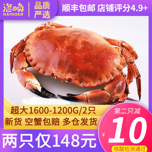 两只148面包蟹鲜活超大螃蟹鲜活面包蟹熟冻海蟹特大珍宝蟹