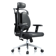 健康舒适护腰双背椅老板椅人体工学电脑椅个性时尚设计师办公