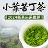 2024新茶小叶苦丁茶，青山绿水明前野生嫩芽，峨眉山茶叶250g