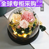 2023日本a进口永生花，礼盒玻璃罩diy保鲜玫瑰花，七夕情人节生日