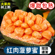 红肉菠萝蜜新鲜水果当季红心热带树整个12-26斤海南整箱现摘现发