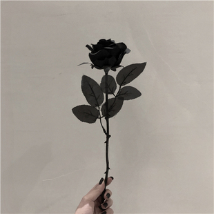 MOONLET STUDIO 暗黑小众哥特风 拍照道具装饰摆设仿真假花黑玫瑰