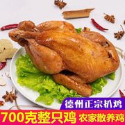 正宗德州五香扒鸡山东特产麻油鸡脱骨烧鸡熟食卤味即食真空下酒菜